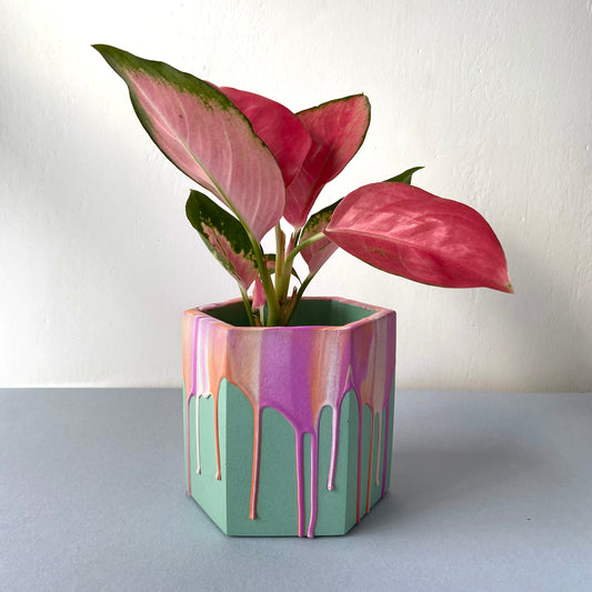 Medium drippy plant pot in pink + coral