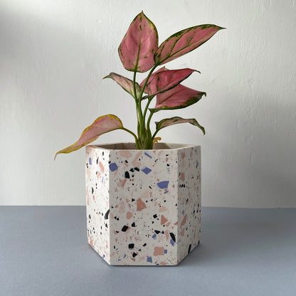 Medium terrazzo plant pot in pink tones