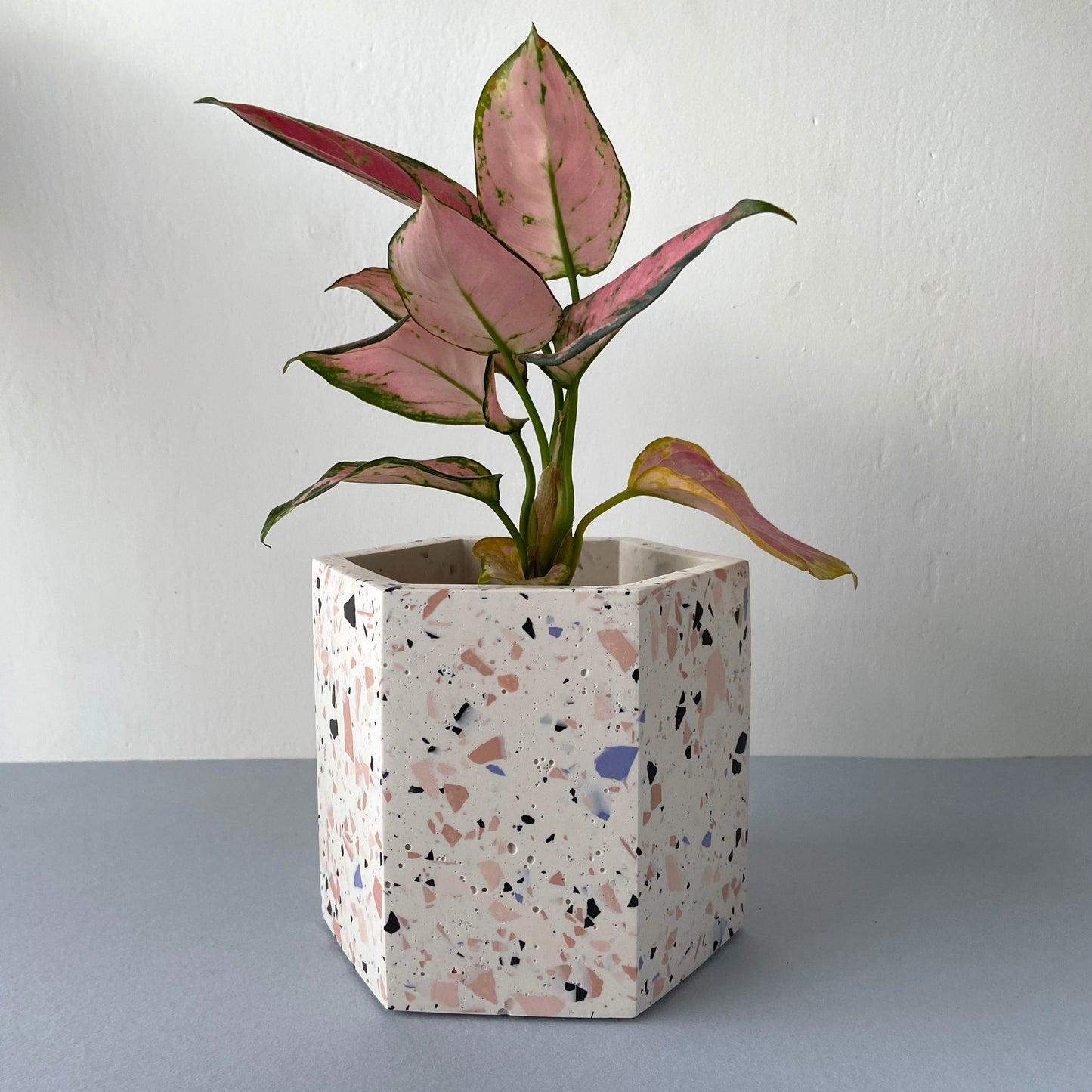 Medium terrazzo plant pot in pink tones