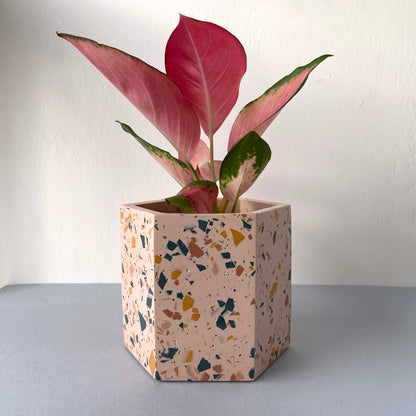 Large terrazzo plant pot in dusk pink
