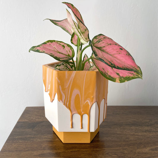 Medium drippy plant pot in marbled mustard + pink