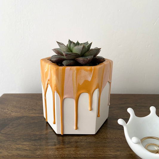 Small drippy plant pot in marbled mustard + pink